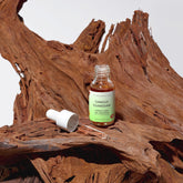 Ginkgo Guardian | Ginkgo Leaf Gel Booster - fleurhive